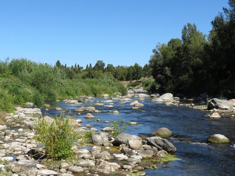 Appartement Centre Ville Du Boulou Pour 2 Adultes-2 Enfants- Check In 17H-21H--Juillet-Aout Reservation De 7 Jours Mini Le Boulou Exteriör bild