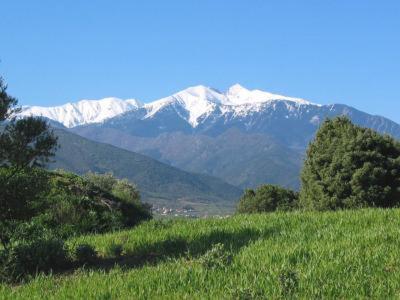 Appartement Centre Ville Du Boulou Pour 2 Adultes-2 Enfants- Check In 17H-21H--Juillet-Aout Reservation De 7 Jours Mini Le Boulou Exteriör bild